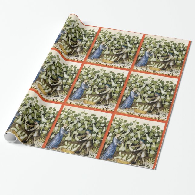 ANTIQUE SQUASH  HARVEST WRAPPING PAPER (Unrolled)