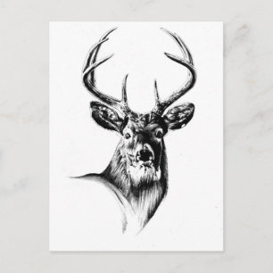 Antique stag art drawing handmade nature postcard
