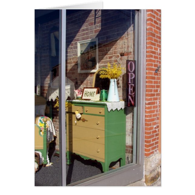 Antique Store Window Display (Front)