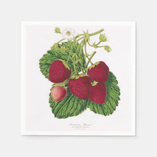 Antique Strawberry Print Napkin