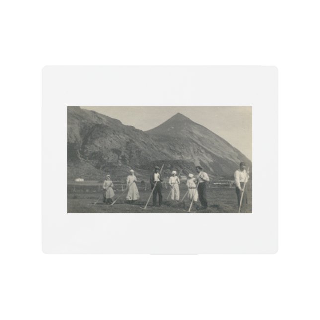 Antique Style Norwegian Farmers 8x10 Metal Print (Front)