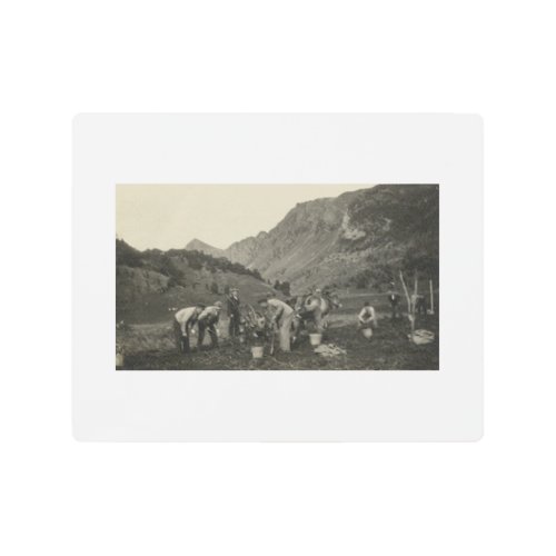 Antique Style Norwegian Farmers 8x10 Metal Print