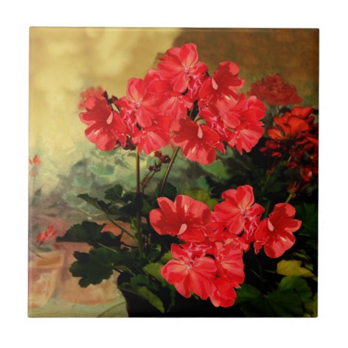 Antique Style Red Geranium Flowers  Gifts Tile