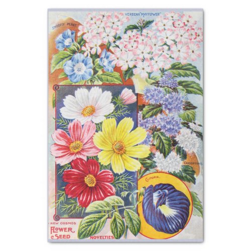 Antique Summer Flowers Seed Catalog Tissue Paper