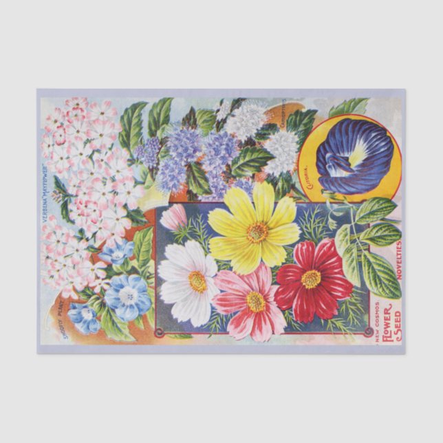 Antique Summer Flowers Seed Catalog Tissue Paper (Front)