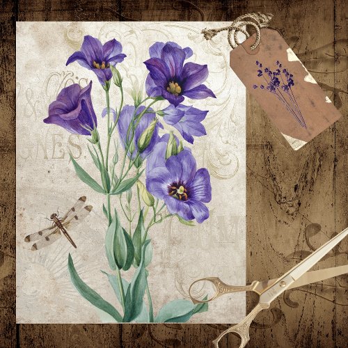 ANTIQUE TEXAS BLUEBELLS WITH DRAGONFLY TISSUE PAPER