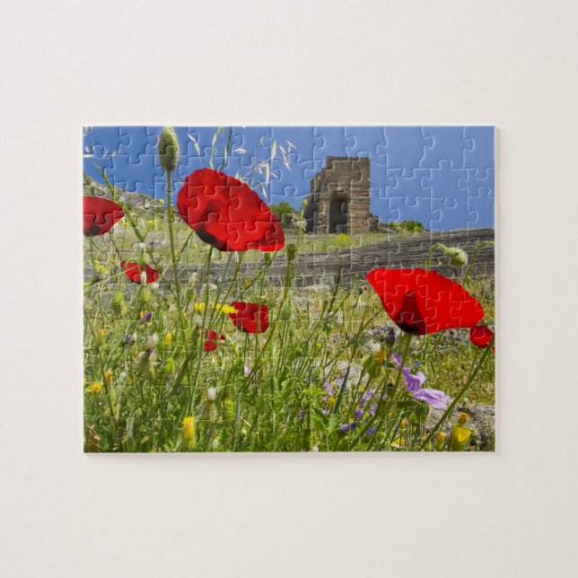 Antique theater in Acropolis of Pergamon Jigsaw Puzzle (Horizontal)