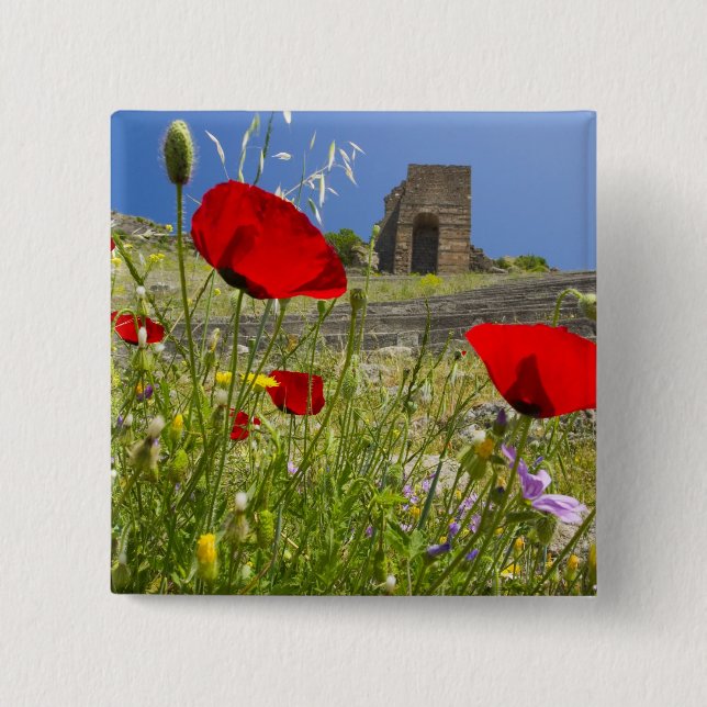 Antique theater in Acropolis of Pergamon Pinback Button (Front)