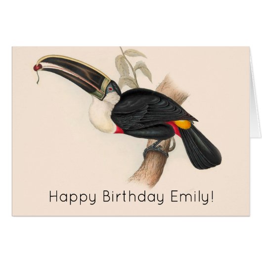 Antique Toucan Bird Wildlife Painting (Front Horizontal)