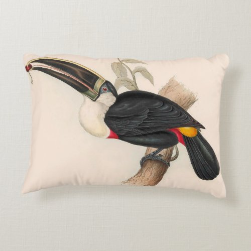 Antique Toucan Bird Wildlife Painting Accent Pillow