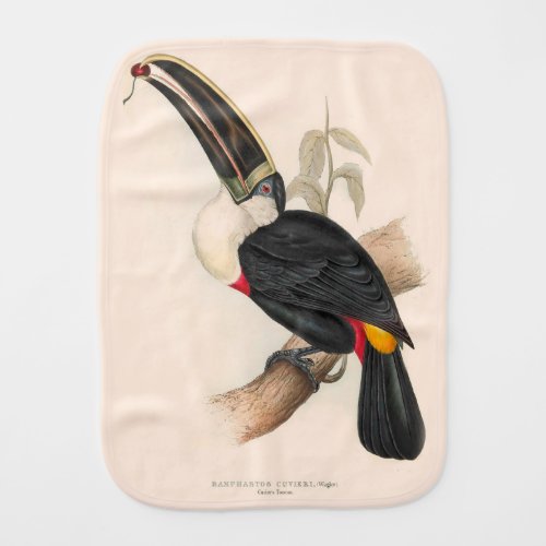Antique Toucan Bird Wildlife Painting Baby Burp Cloth