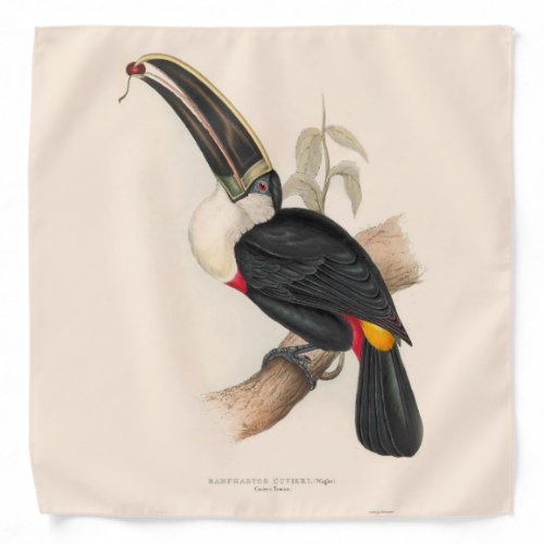 Antique Toucan Bird Wildlife Painting Bandana