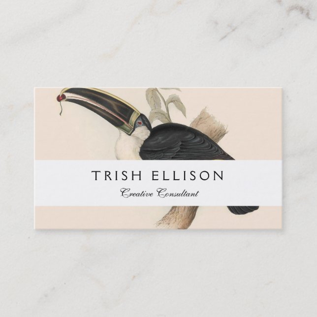 Antique Toucan Bird Wildlife Painting Business Card (Front)