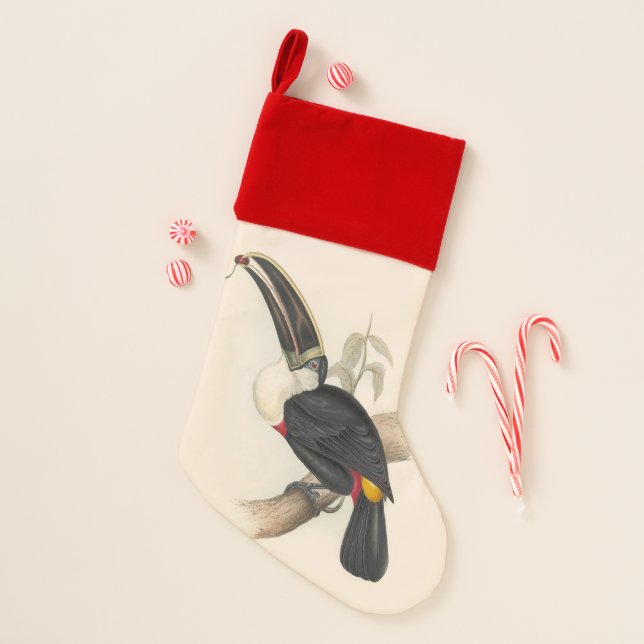 Antique Toucan Bird Wildlife Painting Christmas Stocking (Front)