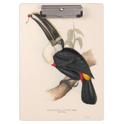 Antique Toucan Bird Wildlife Painting Clipboard