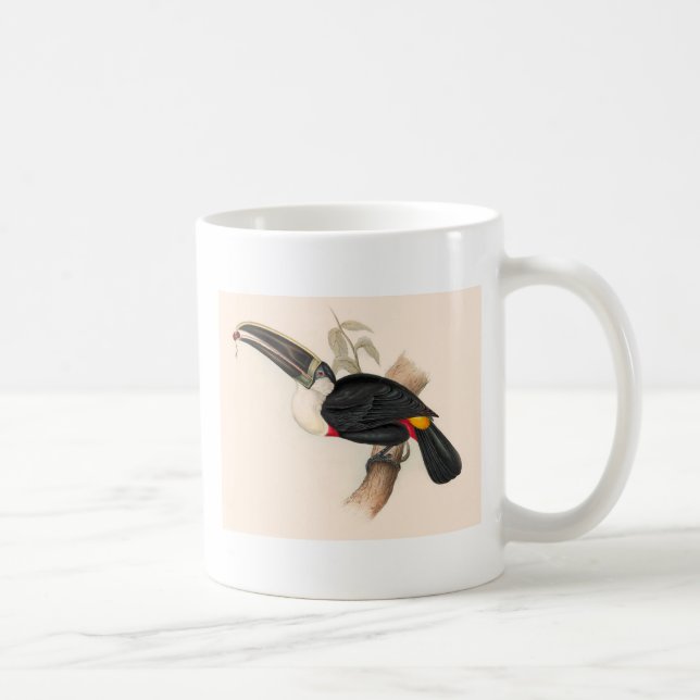 Antique Toucan Bird Wildlife Painting Coffee Mug (Right)