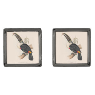 Antique Toucan Bird Wildlife Painting Cufflinks