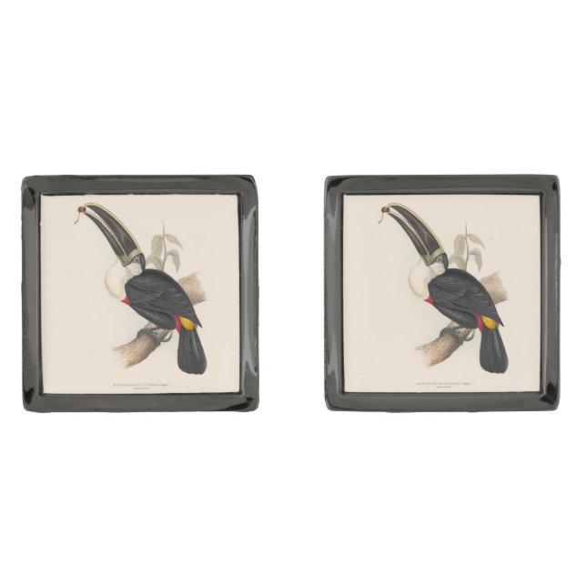 Antique Toucan Bird Wildlife Painting Cufflinks (Front)
