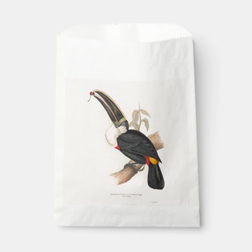 Antique Toucan Bird Wildlife Painting Favor Bag