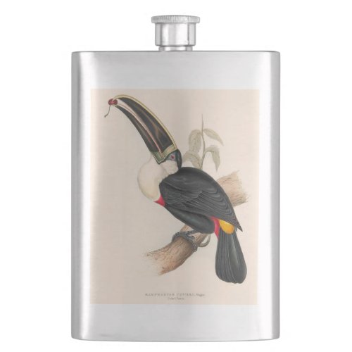 Antique Toucan Bird Wildlife Painting Flask