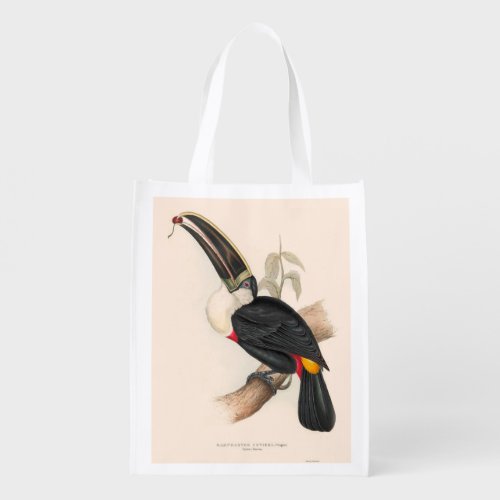 Antique Toucan Bird Wildlife Painting Grocery Bag