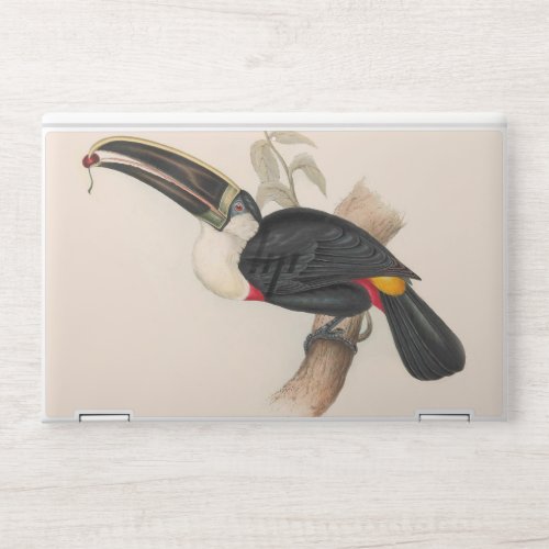 Antique Toucan Bird Wildlife Painting HP Laptop Skin