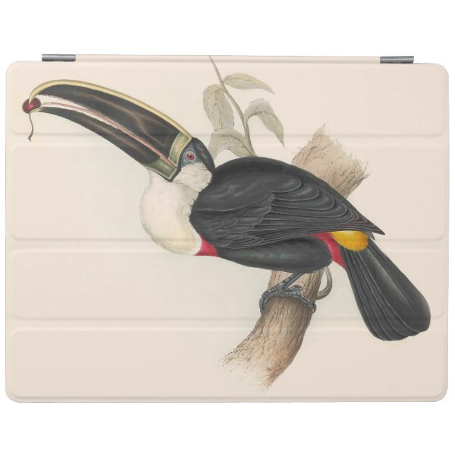 Antique Toucan Bird Wildlife Painting iPad Smart Cover (Horizontal)