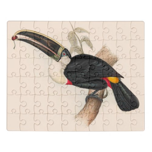 Antique Toucan Bird Wildlife Painting Jigsaw Puzzle