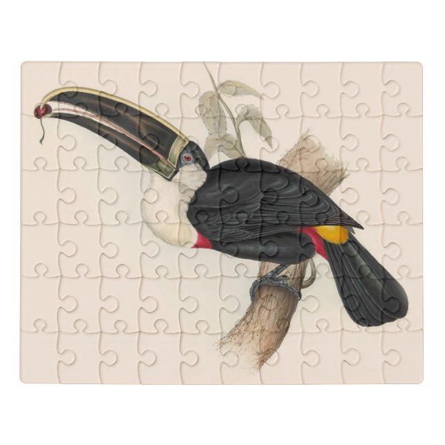 Antique Toucan Bird Wildlife Painting Jigsaw Puzzle (Puzzle Horizontal)