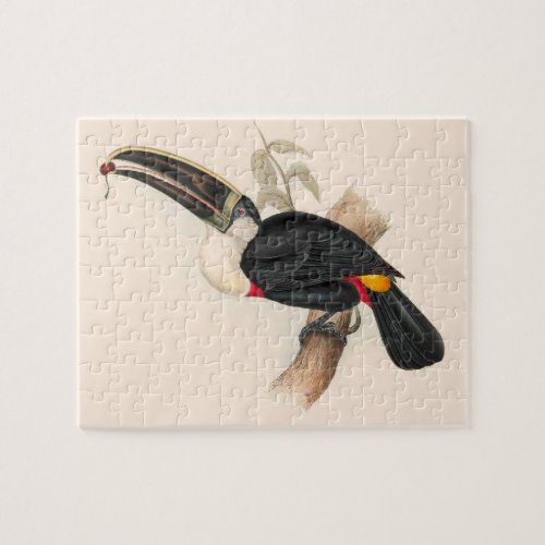 Antique Toucan Bird Wildlife Painting Jigsaw Puzzle