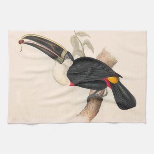 Antique Toucan Bird Wildlife Painting Kitchen Towel