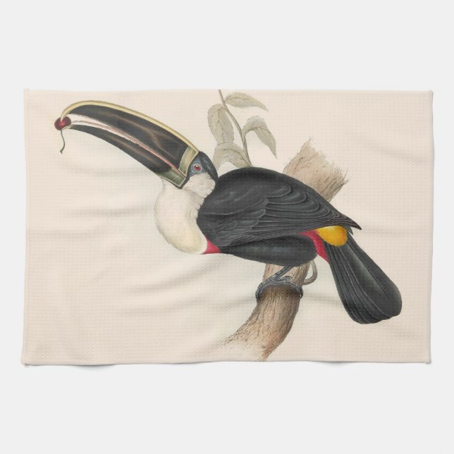 Antique Toucan Bird Wildlife Painting Kitchen Towel (Horizontal)
