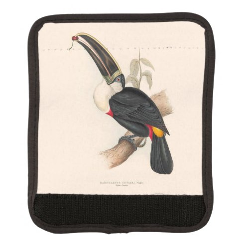 Antique Toucan Bird Wildlife Painting Luggage Handle Wrap