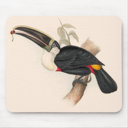 Antique Toucan Bird Wildlife Painting Mouse Pad