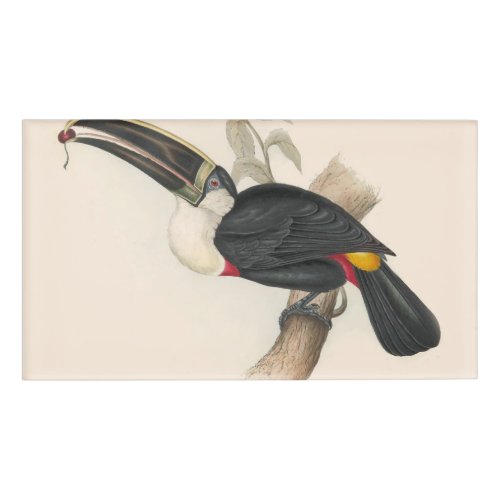 Antique Toucan Bird Wildlife Painting Name Tag