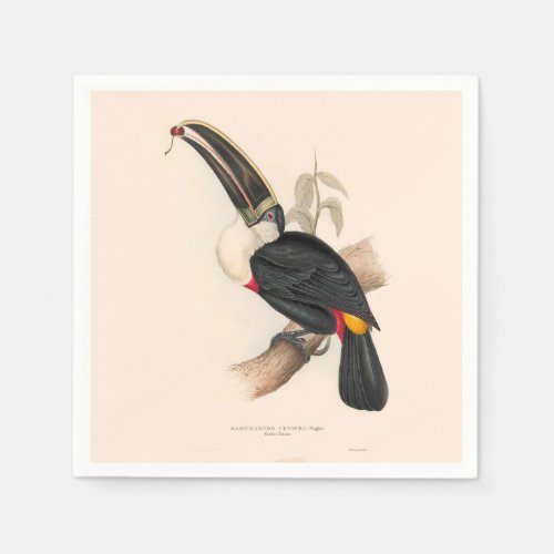 Antique Toucan Bird Wildlife Painting Napkins