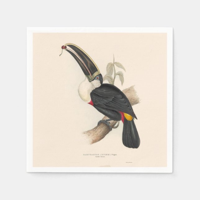 Antique Toucan Bird Wildlife Painting Napkins (Front)
