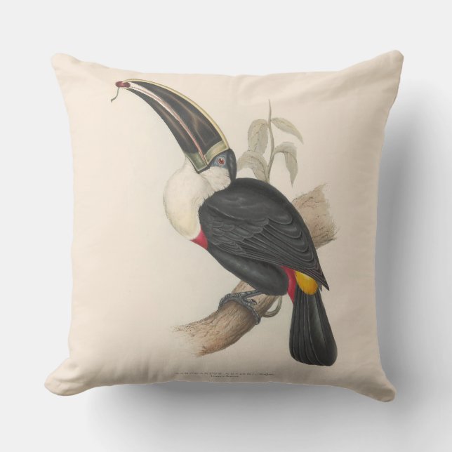Antique Toucan Bird Wildlife Painting Outdoor Pillow (Front)