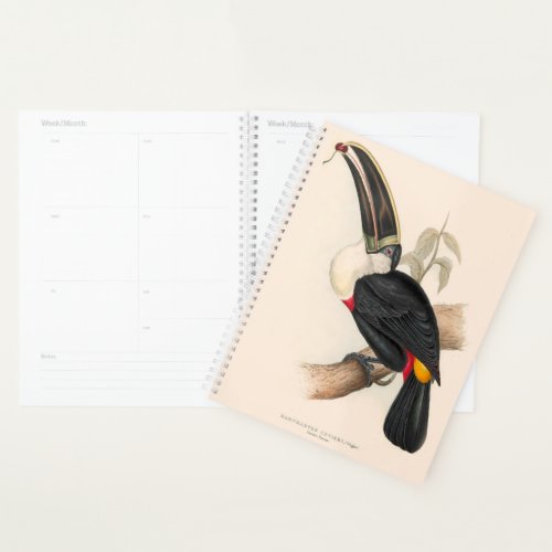 Antique Toucan Bird Wildlife Painting Planner