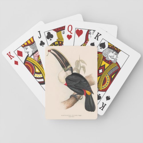 Antique Toucan Bird Wildlife Painting Poker Cards