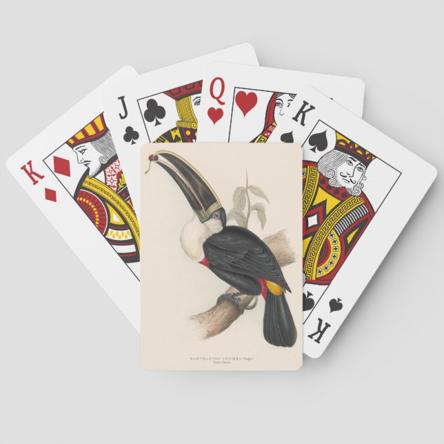 Antique Toucan Bird Wildlife Painting Poker Cards (Back)
