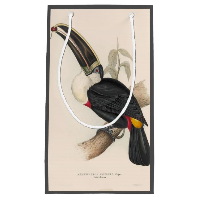 Antique Toucan Bird Wildlife Painting Small Gift Bag (Front)