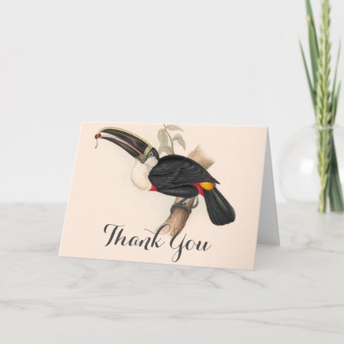 Antique Toucan Bird Wildlife Painting Thank You Card