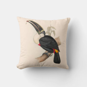 Antique Toucan Bird Wildlife Painting Throw Pillow