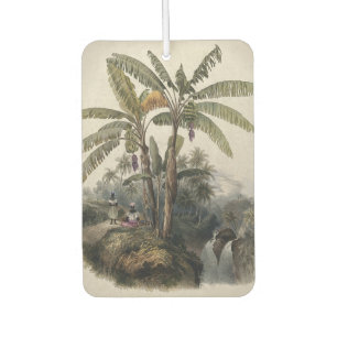 Antique Tropical Banana Tree Forest Vintage Bota Air Freshener