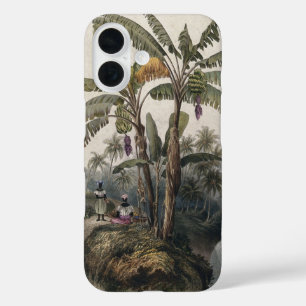 Antique Tropical Banana Tree Forest Vintage Bota iPhone 16 Case