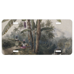 Antique Tropical Banana Tree Forest   Vintage Bota License Plate