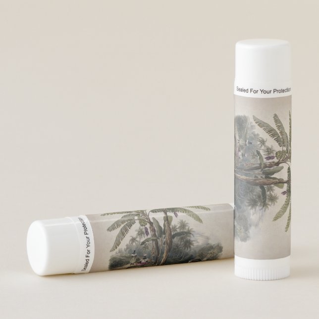 Antique Tropical Banana Tree Forest | Vintage Bota Lip Balm (Front)