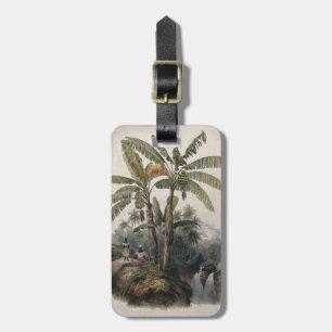 Antique Tropical Banana Tree Forest Vintage Bota Luggage Tag