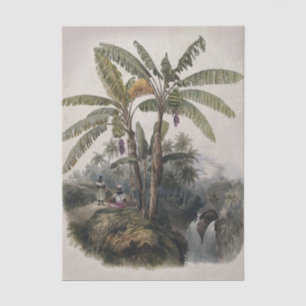 Antique Tropical Banana Tree Forest   Vintage Bota Tissue Paper